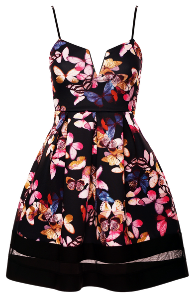 Dresses, Butterfly Print Black Mesh Insert Contrast Skater Dress with Strap - IkoChic